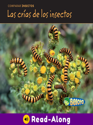 cover image of Las crías de los insectos